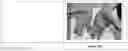 Fig. 19 - HIGH MOLECULAR IODINE CONCENTRATION COMPOSITIONS, PHARMACEUTICAL FORMULATIONS, PREPARATION AND USES