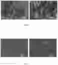Fig. 08 - CURCUMIN COMPOUND COMPOSITION AND METHOD FOR PREPARAING SAME