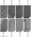 Fig. 20 - Soy-derived bioactive peptides for use in compositions and methods for wound healing, tissue engineering, and regenerative medicine