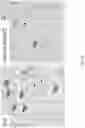 Fig. 22 - Soy-derived bioactive peptides for use in compositions and methods for wound healing, tissue engineering, and regenerative medicine