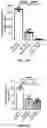 Fig. 05 - Decellularized extracellular matrix, preparation process and uses thereof