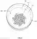 Fig. 07 - Assembly for Selectively Aerating a Beverage