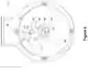 Fig. 07 - Self-retractable winch