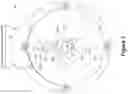 Fig. 08 - Self-retractable winch