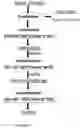 Fig. 02 - SYNTHESIS OF ADSORPTION MATERIALS