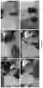 Fig. 04 - Deconstruction of oilsand materials using ionic liquids