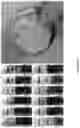 Fig. 23 - Deconstruction of oilsand materials using ionic liquids