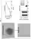 Fig. 07 - Stem Cell Aggregates and Methods for Making and Using