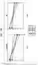 Fig. 13 - Stem Cell Aggregates and Methods for Making and Using