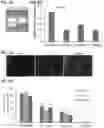 Fig. 04 - METHODS OF CULTURING HUMAN PLURIPOTENT CELLS