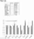 Fig. 41 - METHODS OF CULTURING HUMAN PLURIPOTENT CELLS