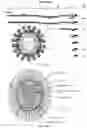 Fig. 08 - VIRAL VACCINES AND METHODS OF FORMING THE SAME