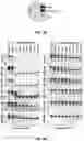 Fig. 08 - Targeted inhibition using engineered oligonucleotides