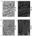 Fig. 04 - ANODIZED COATING FOR MAGNESIUM