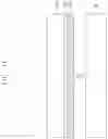 Fig. 02 - Method for forming chalcogenide thin film