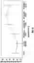 Fig. 17 - INSULATION PRODUCTS FORMED WITH AQUEOUS BINDER COMPOSITIONS