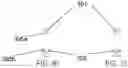 Fig. 19 - DRINKING STRAW ASSEMBLY AND RELATED METHODS