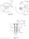 Fig. 03 - Expandable diameter fastener