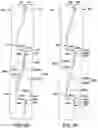 Fig. 14 - Planar ratchet assembly for human-powered vehicle