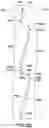 Fig. 15 - Planar ratchet assembly for human-powered vehicle