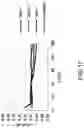 Fig. 13 - Caliper body for a brake caliper
