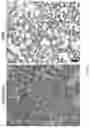 Fig. 08 - METHOD OF IDENTIFYING A STRUCTURE