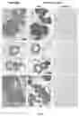 Fig. 09 - METHOD OF IDENTIFYING A STRUCTURE