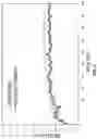 Fig. 05 - METHODS OF PREDICTING OR VALIDATING THE EFFECTIVENESS OF STACS ON THE BINDING BETWEEN NAD+ AND SIRTUINS