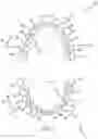 Fig. 02 - SINGLE ARCH MANDIBULAR ADVANCER