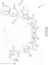 Fig. 03 - SINGLE ARCH MANDIBULAR ADVANCER