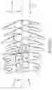Fig. 08 - SINGLE ARCH MANDIBULAR ADVANCER