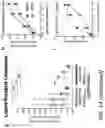 Fig. 19 - ENHANCEMENT OF POLYPEPTIDES AND CHIMERIC ANTIGEN RECEPTORS VIA HINGE DOMAINS