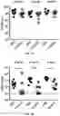 Fig. 02 - NEW IMMUNOGENIC COMPOSITIONS
