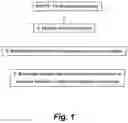 Fig. 02 - HIV vaccines and methods of using