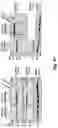 Fig. 85 - HIV vaccines and methods of using