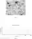 Fig. 02 - SURFACTANT MICROBUBBLES AND PROCESS FOR PREPARING AND METHODS OF USING THE SAME