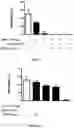 Fig. 02 - COMPOSITION FOR TOPICAL USE FOR PHOTODYNAMIC THERAPY