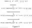 Fig. 09 - NUCLEIC ACID CONJUGATES AND USES THEREOF