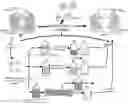 Fig. 01 - APOHEMOGLOBIN-HAPTOGLOBIN COMPLEXES AND METHODS OF USING THEREOF