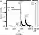 Fig. 07 - APOHEMOGLOBIN-HAPTOGLOBIN COMPLEXES AND METHODS OF USING THEREOF