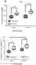 Fig. 124 - APOHEMOGLOBIN-HAPTOGLOBIN COMPLEXES AND METHODS OF USING THEREOF