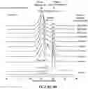 Fig. 69 - APOHEMOGLOBIN-HAPTOGLOBIN COMPLEXES AND METHODS OF USING THEREOF