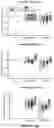 Fig. 75 - APOHEMOGLOBIN-HAPTOGLOBIN COMPLEXES AND METHODS OF USING THEREOF