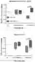 Fig. 76 - APOHEMOGLOBIN-HAPTOGLOBIN COMPLEXES AND METHODS OF USING THEREOF