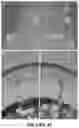 Fig. 79 - APOHEMOGLOBIN-HAPTOGLOBIN COMPLEXES AND METHODS OF USING THEREOF