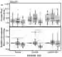 Fig. 92 - APOHEMOGLOBIN-HAPTOGLOBIN COMPLEXES AND METHODS OF USING THEREOF