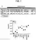 Fig. 02 - COMBINATION THERAPY
