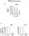 Fig. 05 - COMBINATION THERAPY