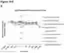 Fig. 99 - DRUG CONJUGATE