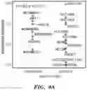 Fig. 49 - COMPOSITIONS AND METHODS CHARACTERIZING METASTASIS